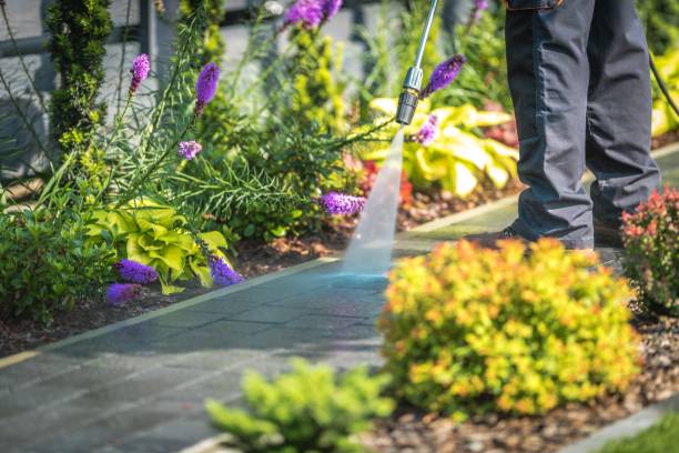 Professional Pressure Washing in Pompano Beach, FL